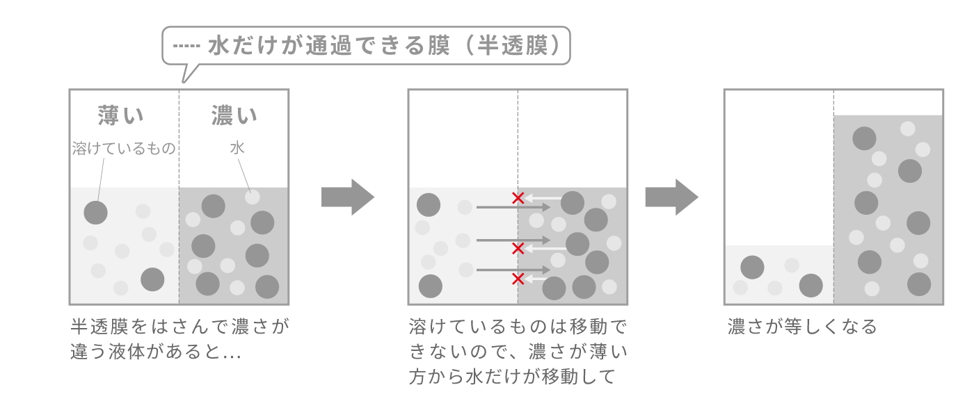 浸透圧のしくみ