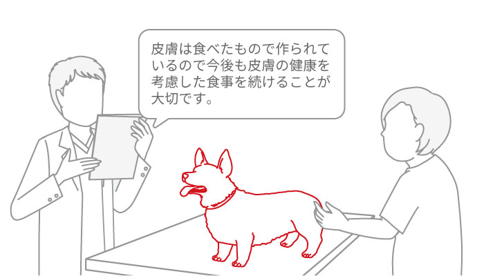 皮膚は食べ物で作られているので今後も皮膚の健康を考慮した食事を続けることが大切です